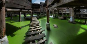 5 Days Guizhou Authentic Minority Villages Tour