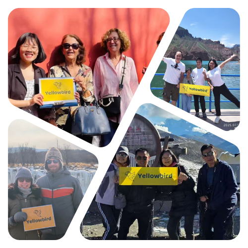 Single Tour Template