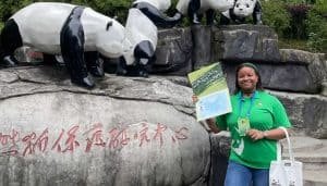 1 Day Dujiangyan Panda Volunteer