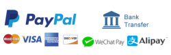 Logo Payments Yellowbordtour