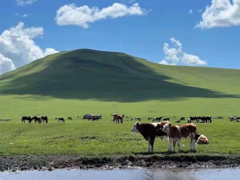 Inner Mongolia