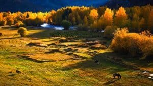 Xinjiang Tour Package Singapore: What's Included, Top Attractions & Cost Guide