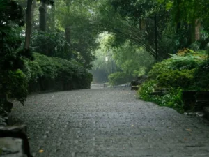 5 Days Magic Chongqing Tour