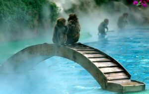 5 Days Sanya Beach And Forest Tour
