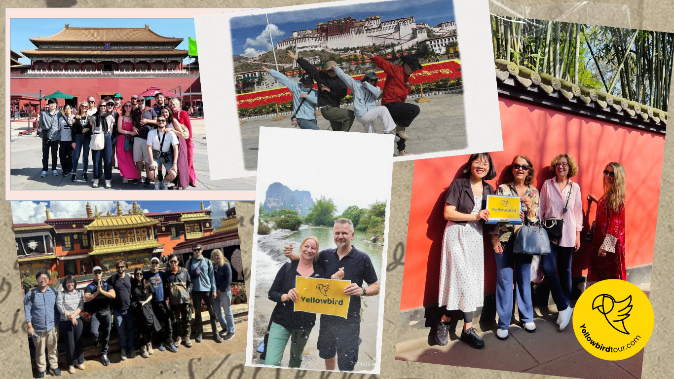 Client Photos Yellowbordtour