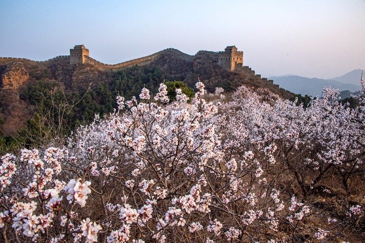 Great Wall Of China Tour 2026: Routes, Seasons, Tips