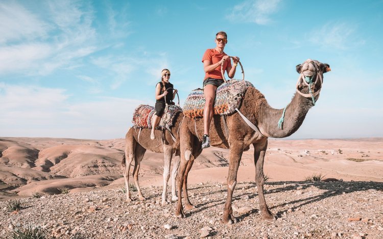 Singing Sand Dunes Camel Ride Dunhuang Silk Road Silk Road Tour China: The Complete Guide To Routes, Highlights & 2026 Packages