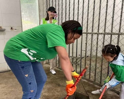 1 Day Dujiangyan Panda Volunteer