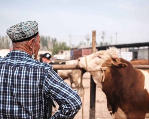 7 Days Xinjiang Urumqi/turpan/kashgar Discovery