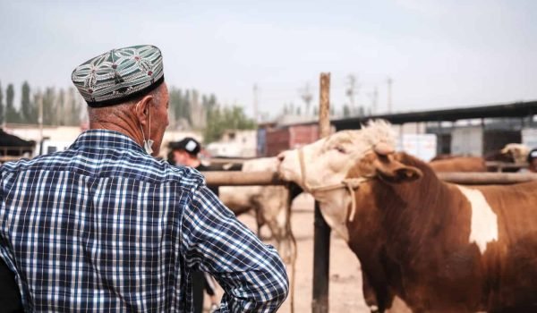 7 Days Xinjiang Urumqi/turpan/kashgar Discovery