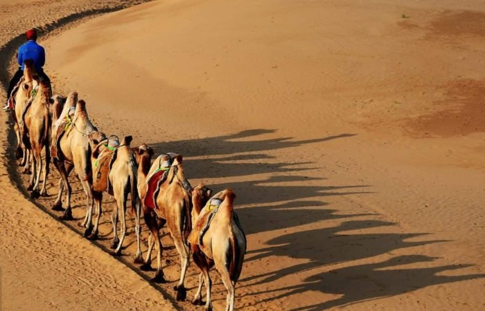 5 Days Xilamuren Grassland, Kubuqi Desert