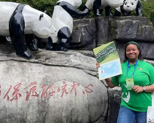 1 Day Dujiangyan Panda Volunteer