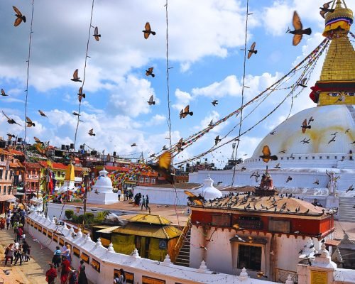 6 Days Nepal Tour With Chitwan National Park