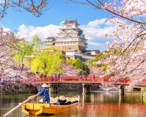 9 Days Japan Cherry Blossom Journey Through Tokyo, Kyoto, Nara & Osaka