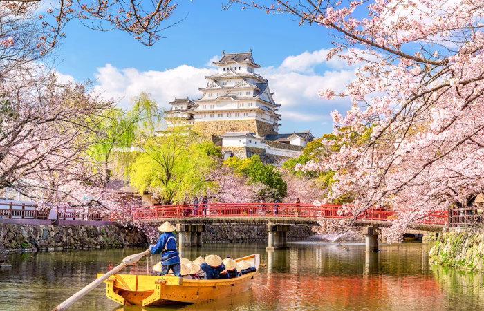 9 Days Japan Cherry Blossom Journey Through Tokyo, Kyoto, Nara & Osaka