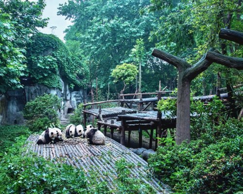 3 Days Chengdu And Leshan Buddha Tour