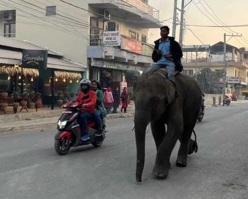 8 Days Nepal Tour Of Kathmandu, Chitwan, Pokhara