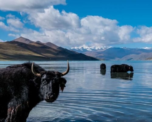 Tibet: 8 Days Lhasa To Everest Base Camp Tour