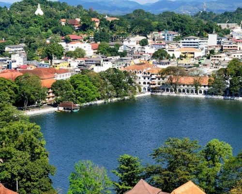 8 Daya Sri Lanka Tour