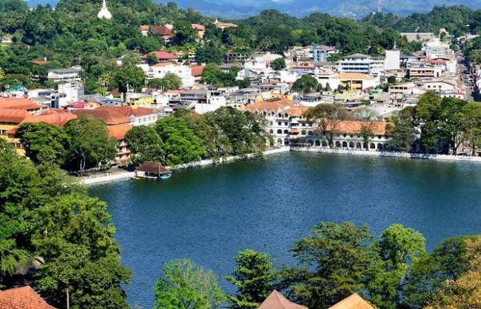 8 Daya Sri Lanka Tour