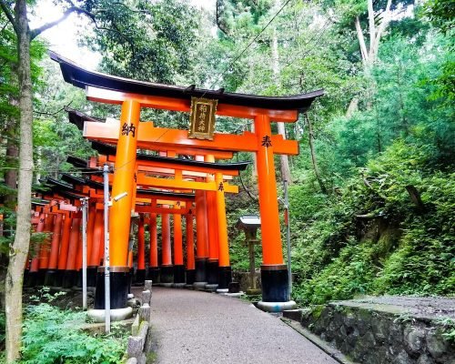 9 Days Japan Cherry Blossom Journey Through Tokyo, Kyoto, Nara & Osaka