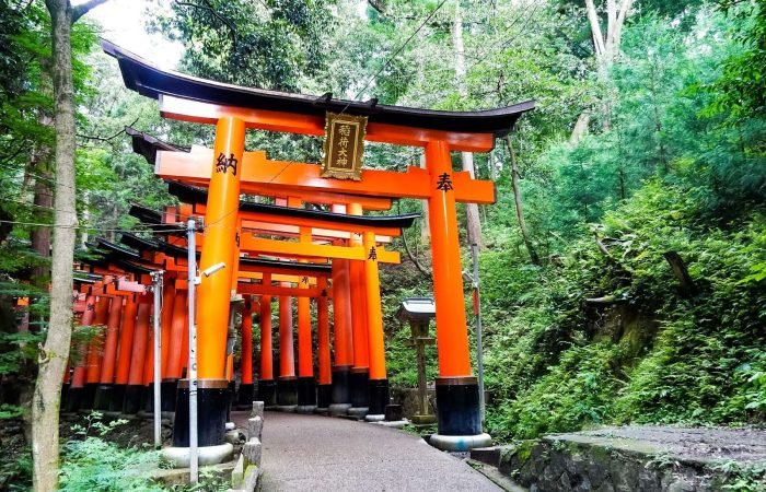 9 Days Japan Cherry Blossom Journey Through Tokyo, Kyoto, Nara & Osaka