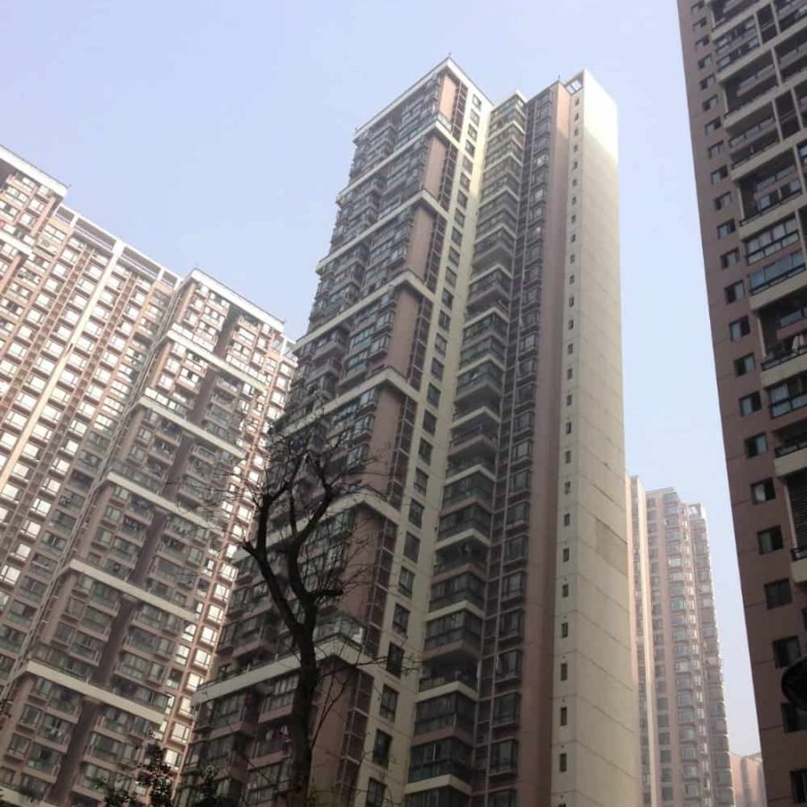Life In China Interview Series - Twan Roubroeks