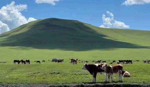 Inner Mongolia