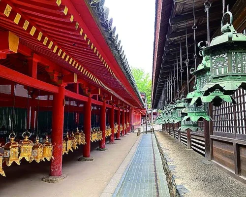 9 Days Japan Cherry Blossom Journey Through Tokyo, Kyoto, Nara & Osaka