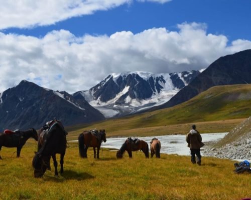 8 Days Mongolia Tour Adventure: Discover Culture, Nature, And Tradition