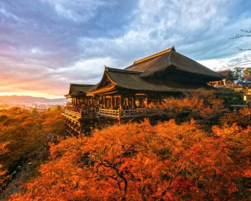 9 Days Japan Cherry Blossom Journey Through Tokyo, Kyoto, Nara & Osaka