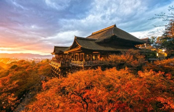 9 Days Japan Cherry Blossom Journey Through Tokyo, Kyoto, Nara & Osaka
