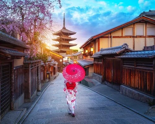 9 Days Japan Cherry Blossom Journey Through Tokyo, Kyoto, Nara & Osaka
