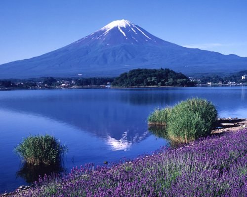 7 Days Best Of Tokyo, Kyoto & Osaka Tour