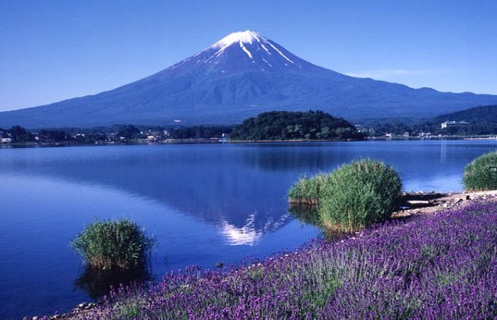 7 Days Best Of Tokyo, Kyoto & Osaka Tour