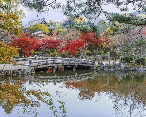 9 Days Japan Cherry Blossom Journey Through Tokyo, Kyoto, Nara & Osaka