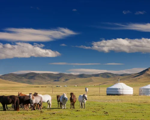 8 Days Mongolia Tour Adventure: Discover Culture, Nature, And Tradition