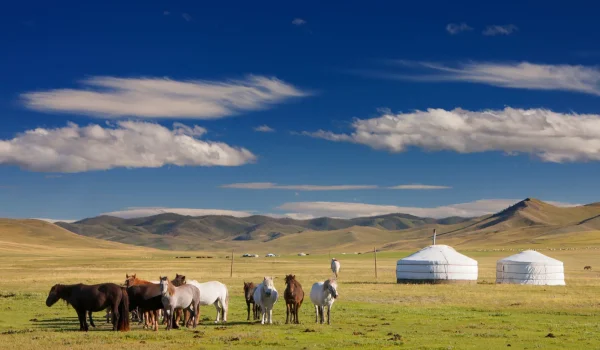 8 Days Mongolia Tour Adventure: Discover Culture, Nature, And Tradition