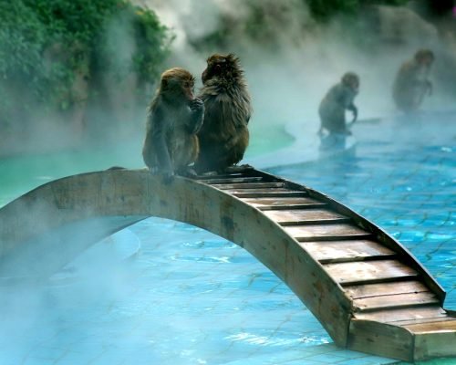 5 Days Sanya Beach And Forest Tour