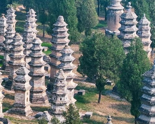3 Days Shaolin Kung Fu Experience And Luoyang Grottoes