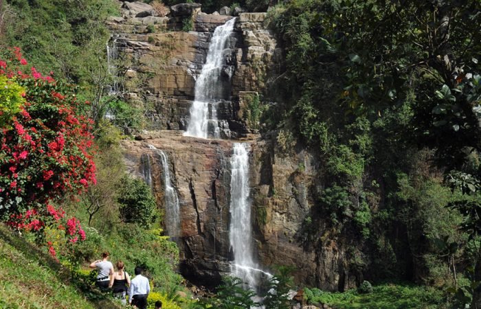 8 Daya Sri Lanka Tour