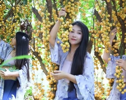5 Days Sanya Beach And Forest Tour