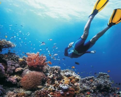 5 Days Sanya Beach And Forest Tour