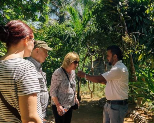 8 Daya Sri Lanka Tour