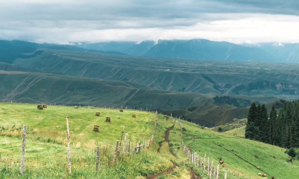 Xinjiang tour package