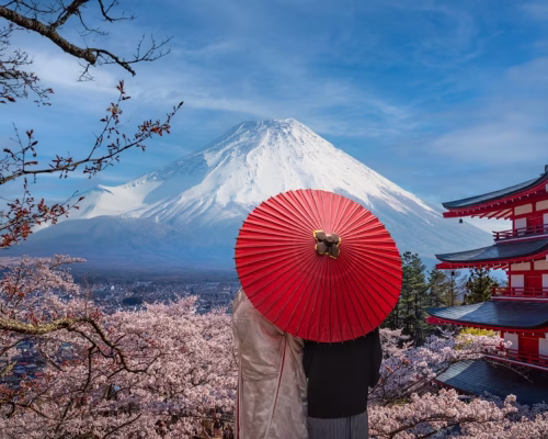 9 Days Japan Cherry Blossom Journey Through Tokyo, Kyoto, Nara & Osaka