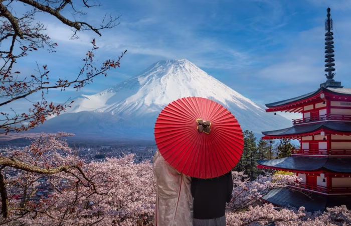 9 Days Japan Cherry Blossom Journey Through Tokyo, Kyoto, Nara & Osaka