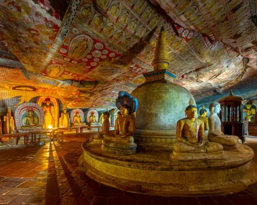 8 Daya Sri Lanka Tour