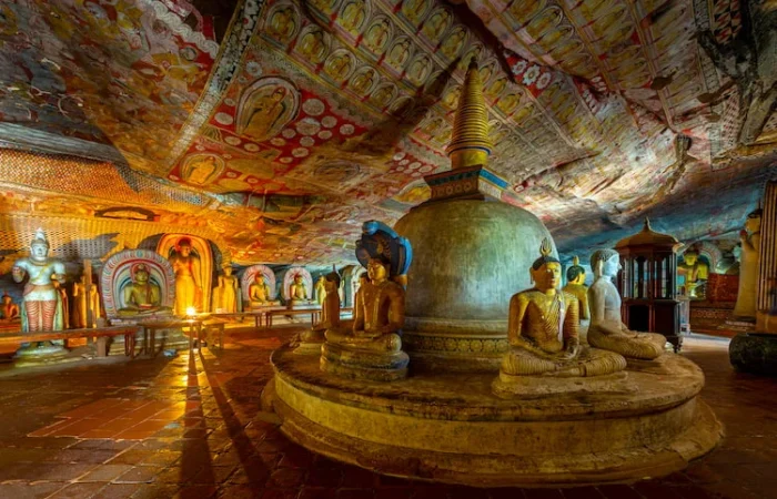 8 Daya Sri Lanka Tour