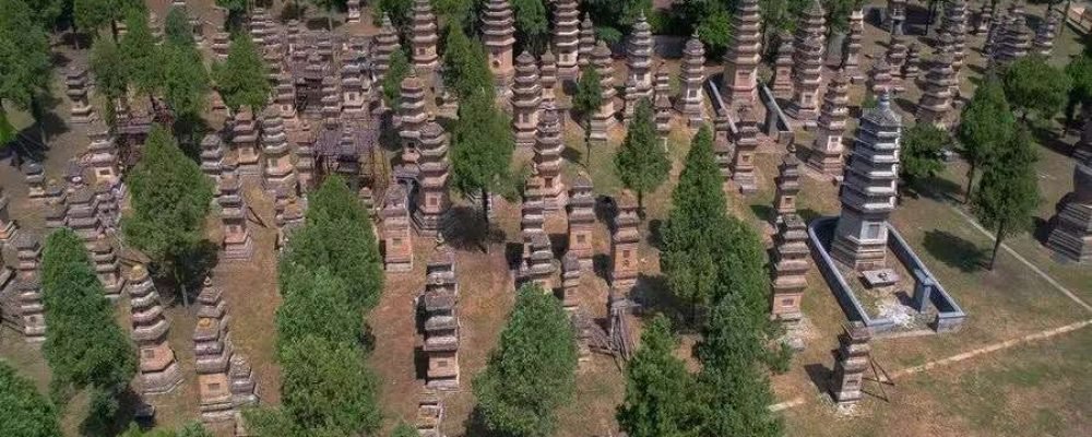 Shaolin Temple Tours